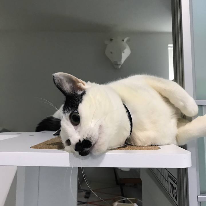 75ea1ac3 aefe 491c 882b 2f8fac73ab29