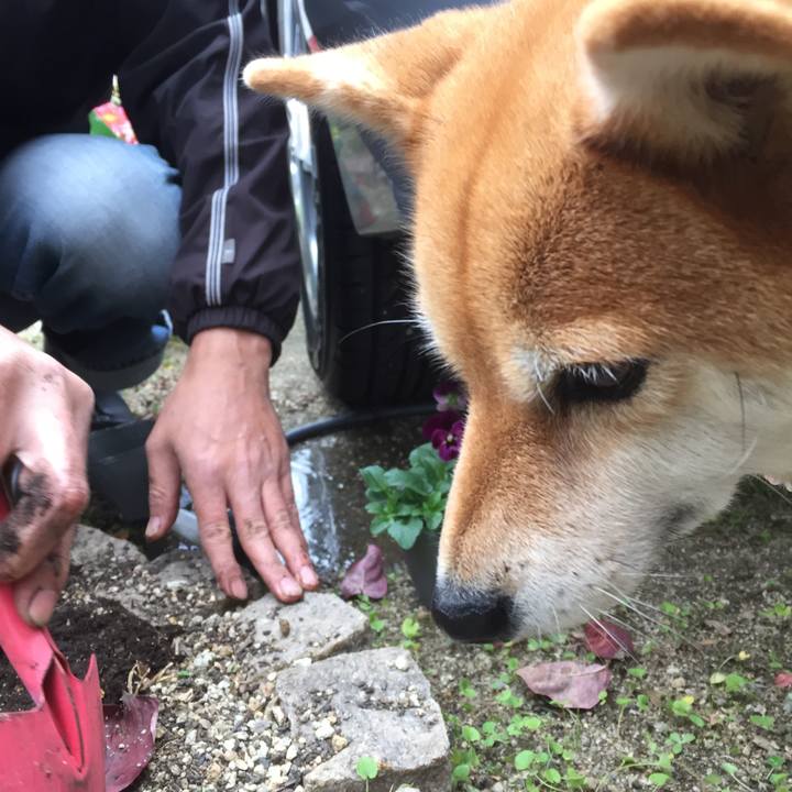 75eb0533 2ebb 4289 aca7 3e3e48cb90d0