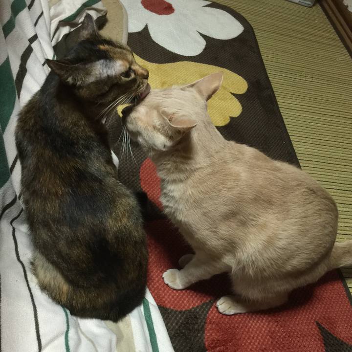 75eb084f a432 4f3a 952d a79416572643