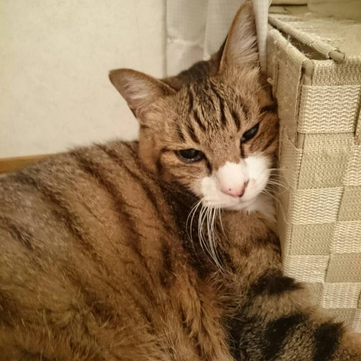 75eb16d5 8ca1 4faa a7bb 9a1bb762261f