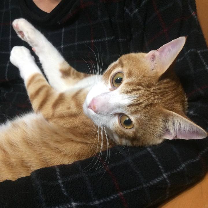 75eb1a03 a1ad 4644 a273 fa8cd5b6a07c