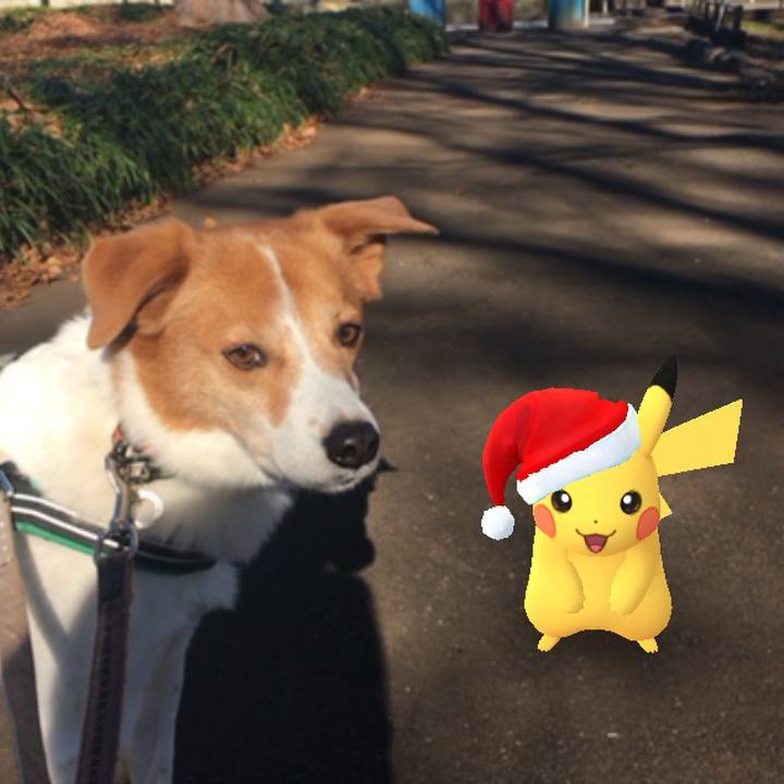 75eb2cb0 bad0 4634 9b55 90aeec717e84