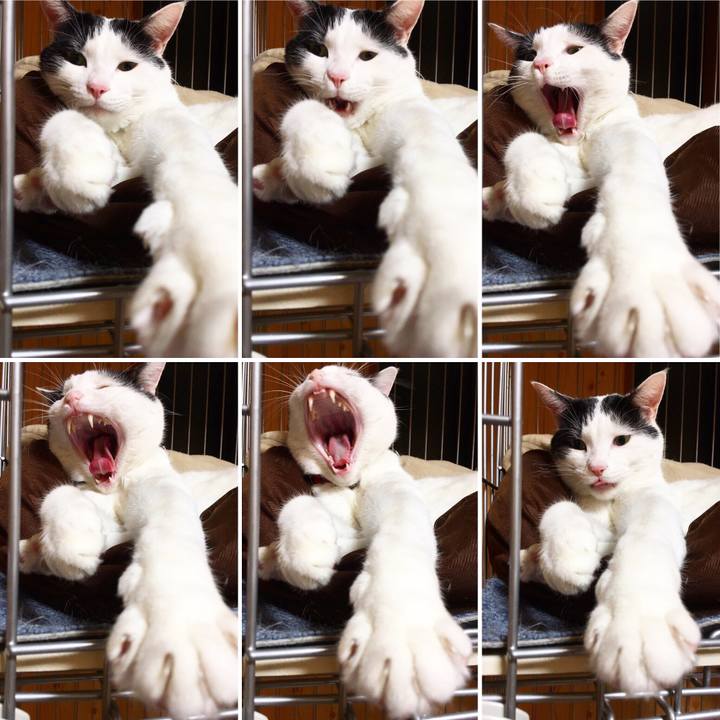 75eb7ac9 8ce7 446c b4a6 4d0f6a61fb36