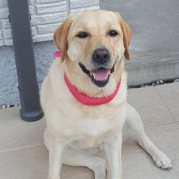 75eba097 29a7 41a8 b31d 26e723ff2e02