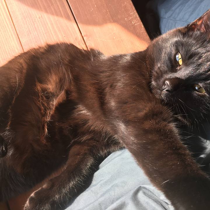 75ecd902 2060 453f aa75 c4bfeed79b83