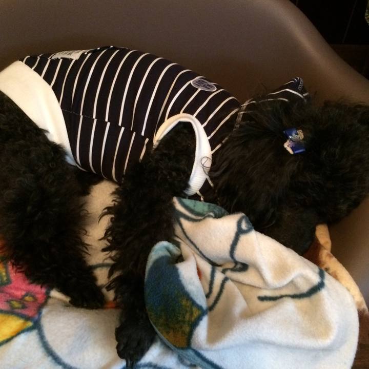 75edfe31 c7c9 4def b8ee a76bad683090