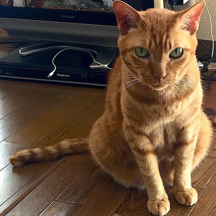 75ee0354 1438 46b4 bdb7 bcddbd3eaa0f