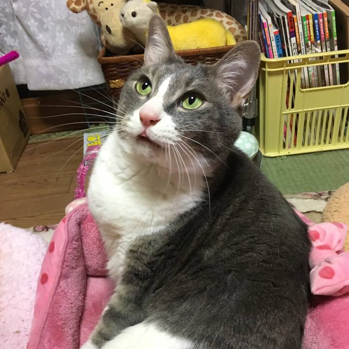 75eeacdc df30 43d9 ad6e d06cefb2e068