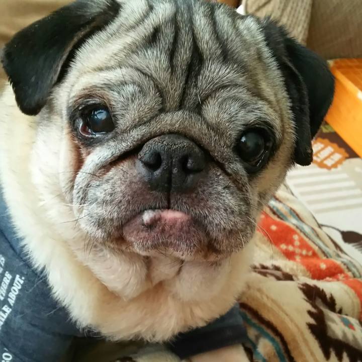 75ef41b4 c29d 43c3 8c84 4a3794ff02e3