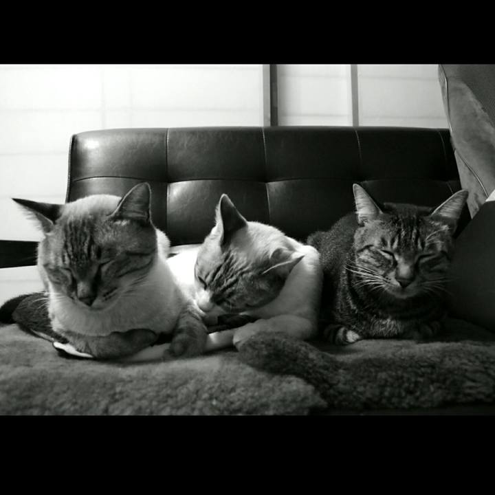 75ef45f7 d3d6 43f2 aff2 15368c3781f4