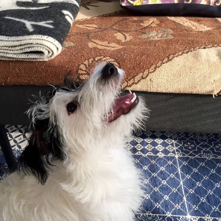 75efe91e 4527 4da6 a1c7 5f795d01244f