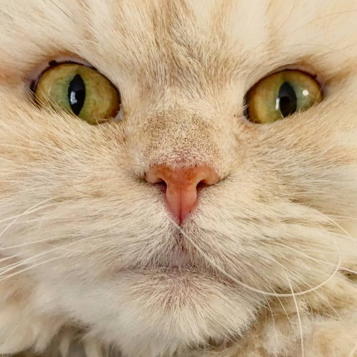 75eff362 d883 43d0 85bf 878dea04b3ed