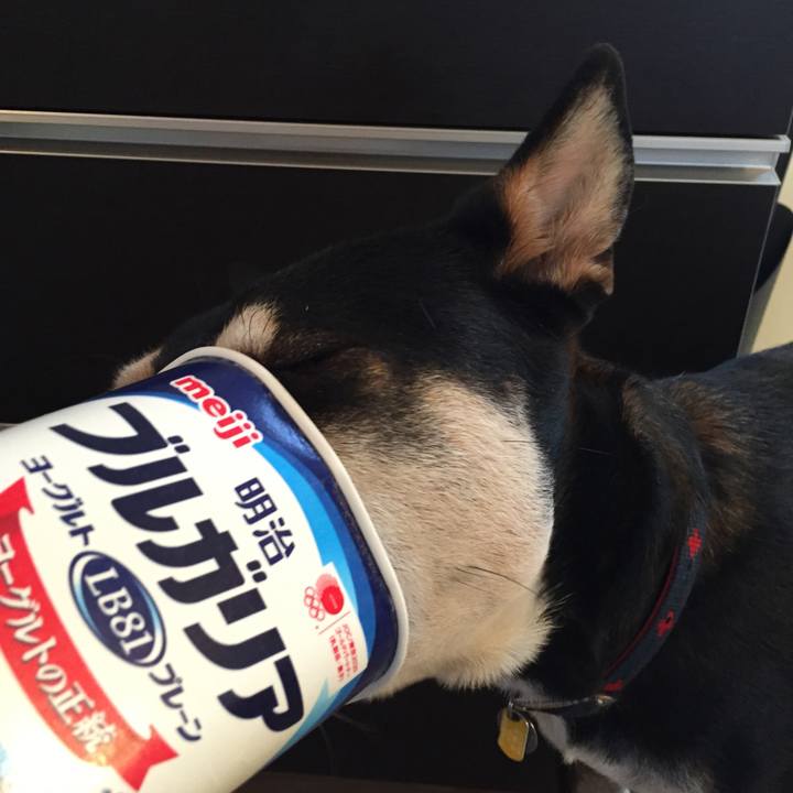 75f025a5 3429 46af 8502 91f95e162f7d