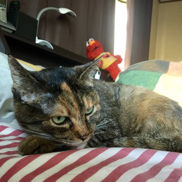 75f0408c 7bf8 49d3 83b0 442c3d707788