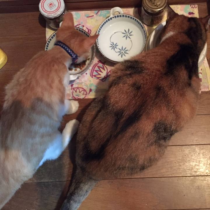 75f0caac 0b1b 4efb 8316 946e8aedc46b