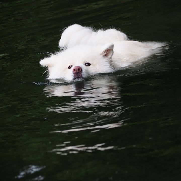 75f0e89b 95e0 4c07 84bc 0d73d6c34e1d