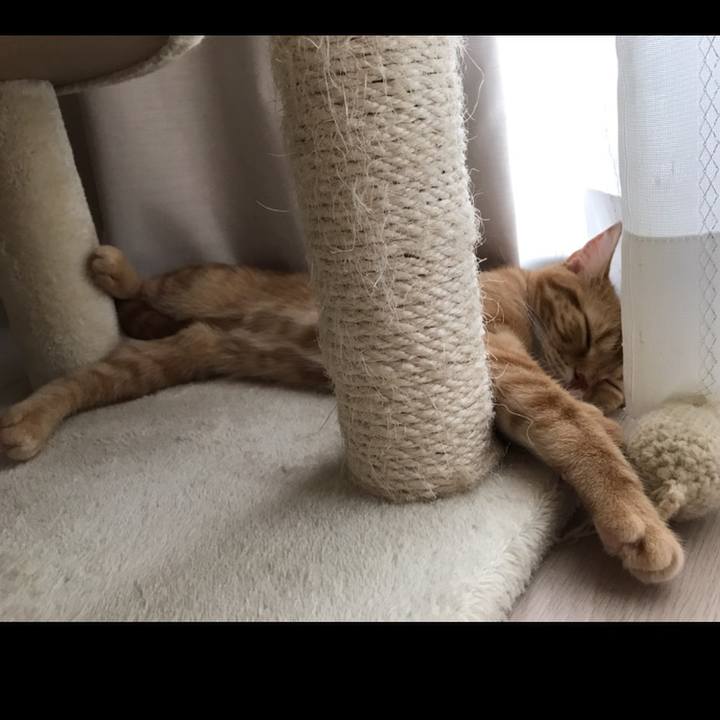 75f25f99 46d6 4160 a148 bd8d9cbf5eb3