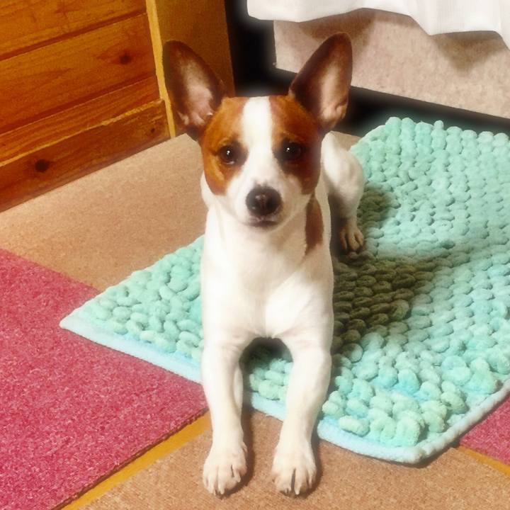 75f29d5f a25f 433e b253 455f934db724