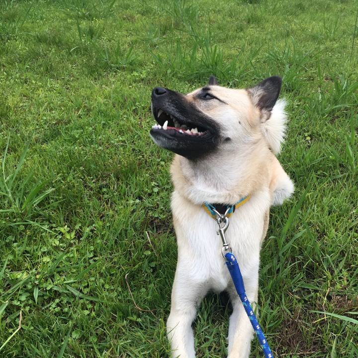 75f3d6c6 3fc3 4df7 bab9 1dda153c76a6