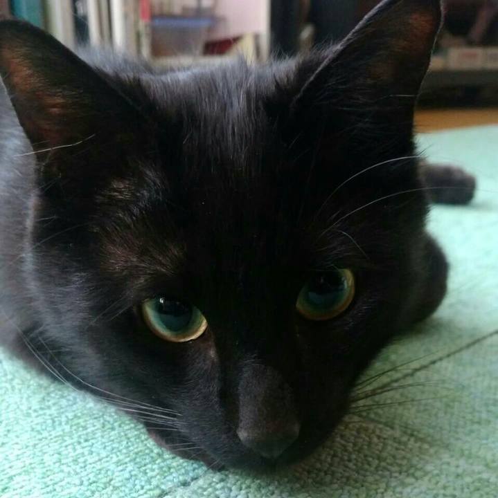 75f42808 52e1 426b a328 35ddb3687c03