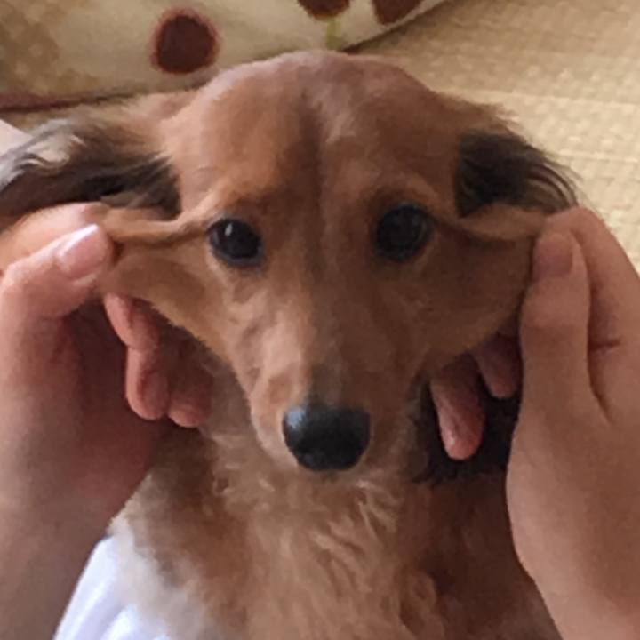 75f4a124 0726 43f0 8b78 58ef296e3666