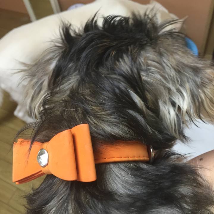 75f50455 ebbd 4dba 8071 826a0d6e34e4