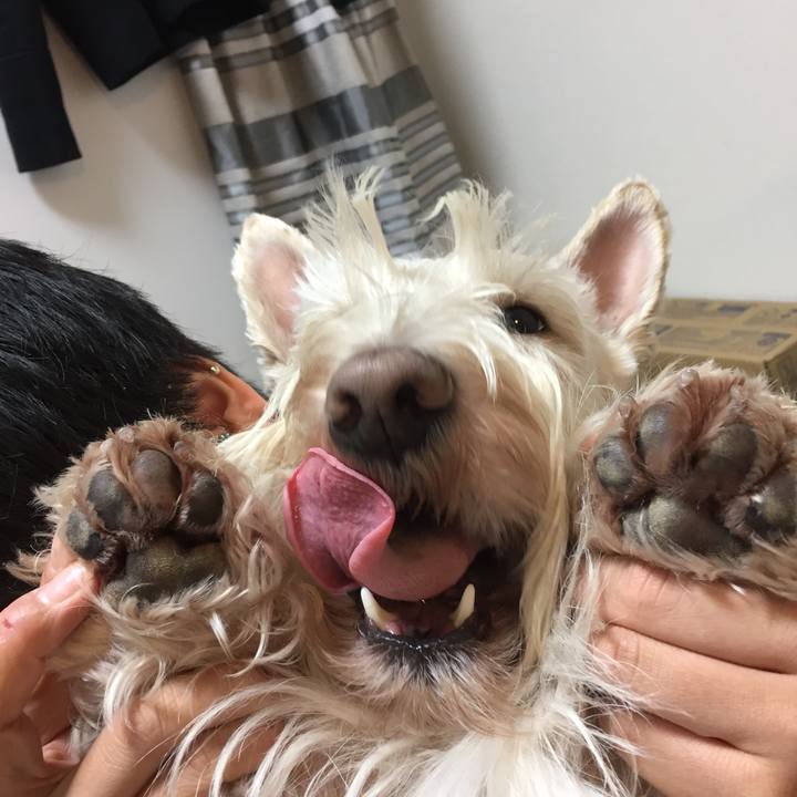 75f5f87a 7841 40da bb8a 0046aac11bf2