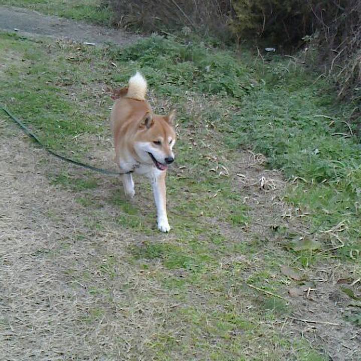 75f6fdb4 aa2c 4379 8cb9 0d17956c566a