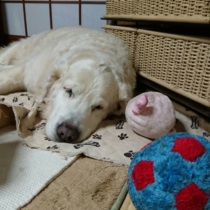 75f78ae3 9b76 4dbd bb9f aee6a64960aa