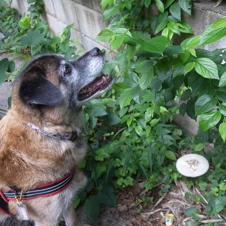 75f7919f d00d 4445 b8e9 34177d6969ce