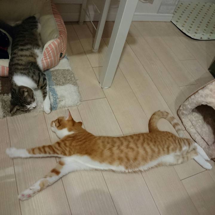 75f7c3ac 8be8 49b4 a6ee a82d11952a1e