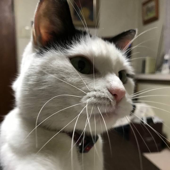 75f7db1c d8ae 448a 8d21 3f035834b7e9