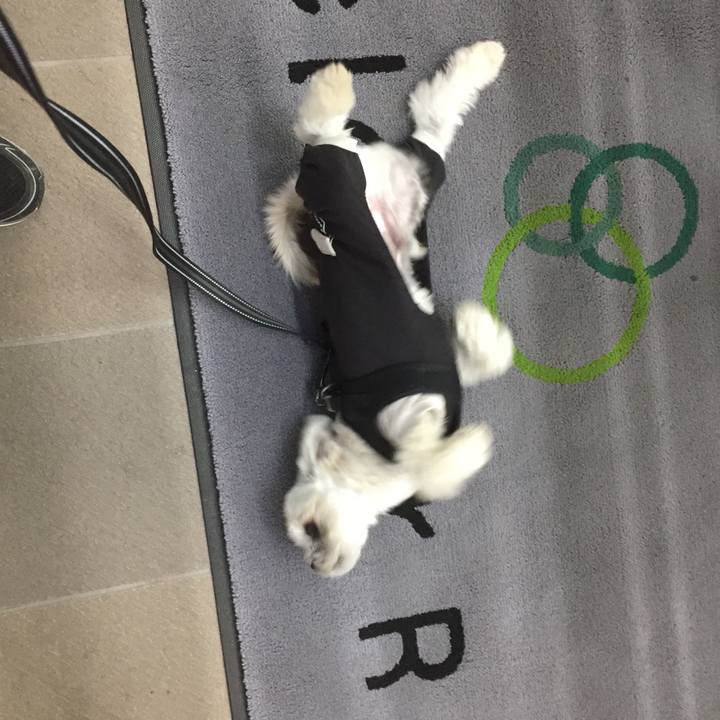 75f82dba 85e6 47f5 8679 9a54c5e3416c