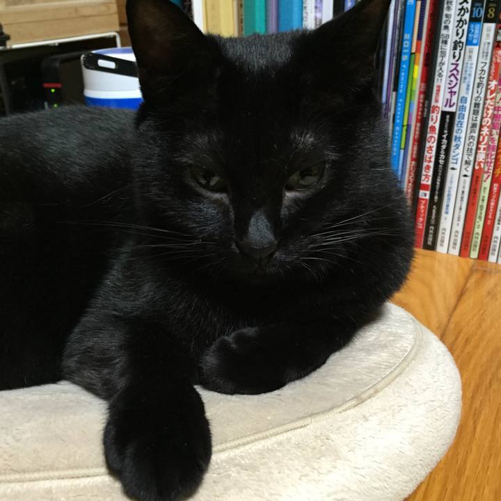 75f859b6 cabd 4cce bfce 7416740e9eb8