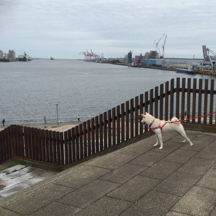 75f85cb4 1ae9 45e1 921a 4115d70c4ebd