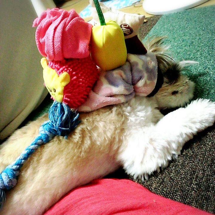 75f91d4a e606 426c a039 7045c201b712