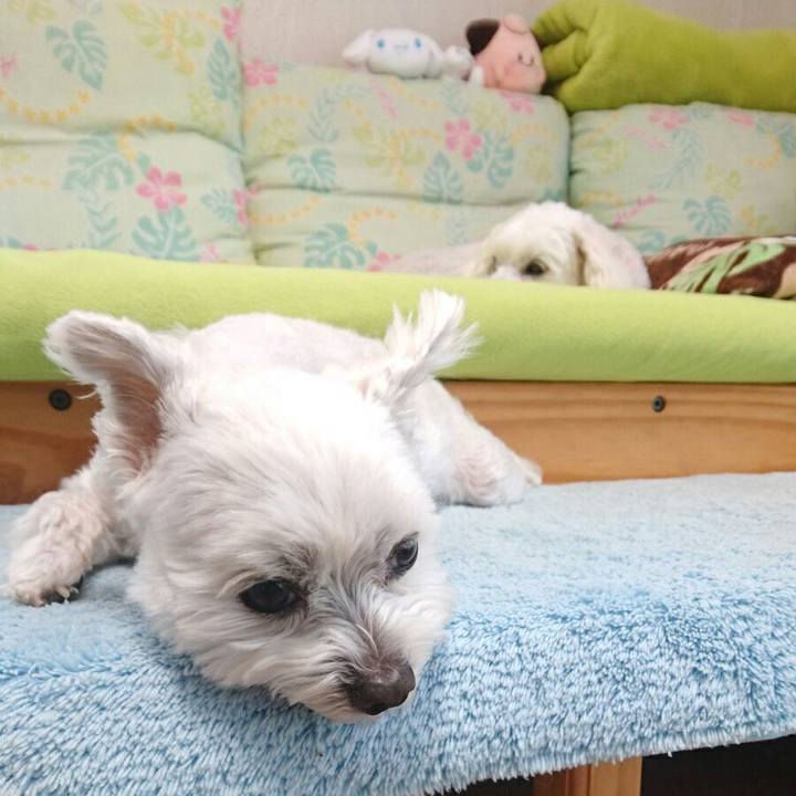 75f92dcb 5956 41b1 b9b1 58d36c459d1b