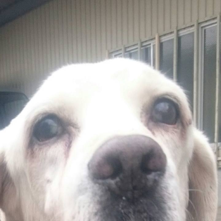 75f9b74d 554c 43ba 8f83 341019429148