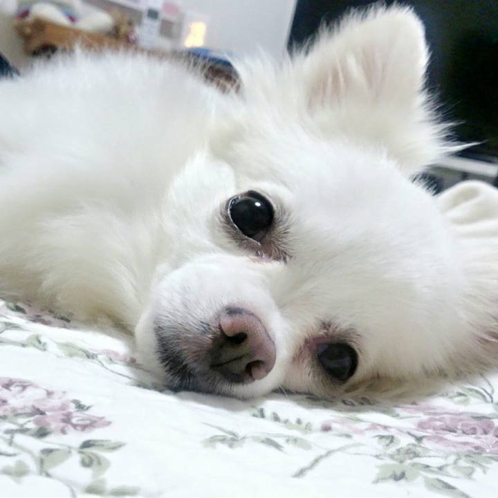 75fa10b7 29da 45c1 9fc4 ded327d8aa5d