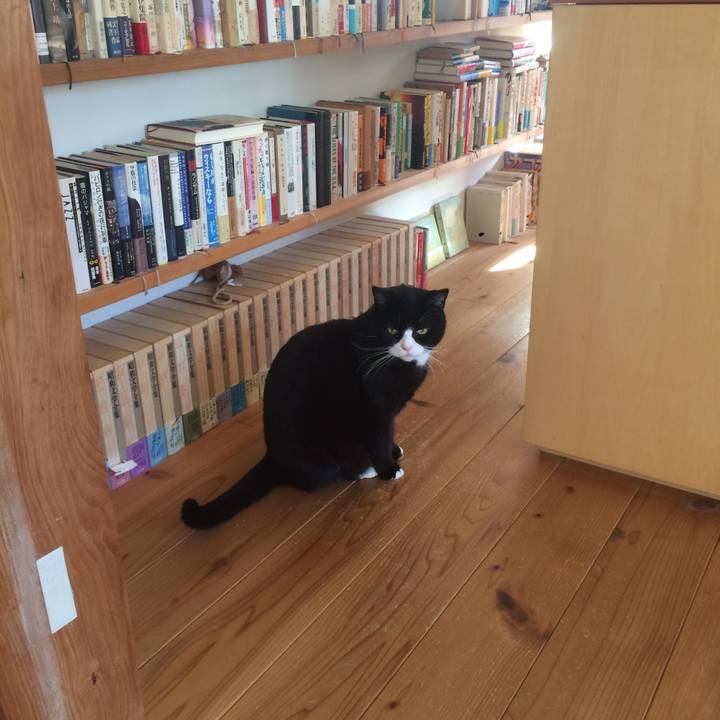 75fa2a98 c501 4fda a55c 1125d1ccb1e8