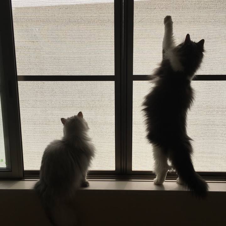 75fa35d0 b8e5 4dd0 9978 1c5db1ad3f3e