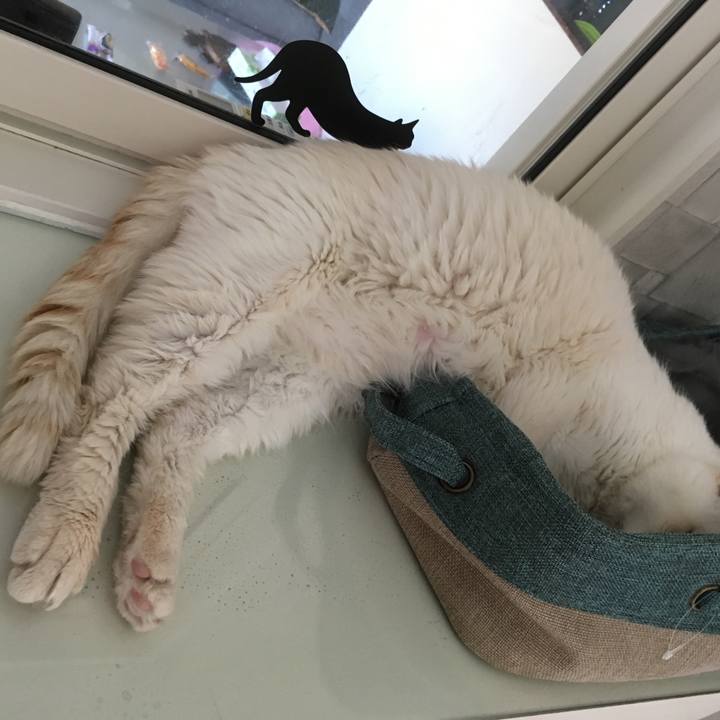 75fa467e 72af 42e3 a15e c89e9ac25ec1