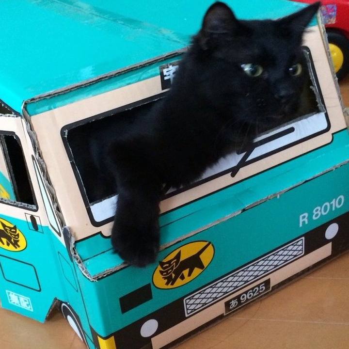 75fa94a5 03f8 4f61 a4db acfacae40d41