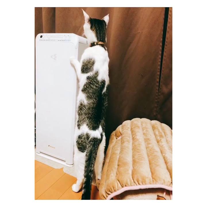 75fac089 81dc 40ea 9669 3b1f4ed5aa54