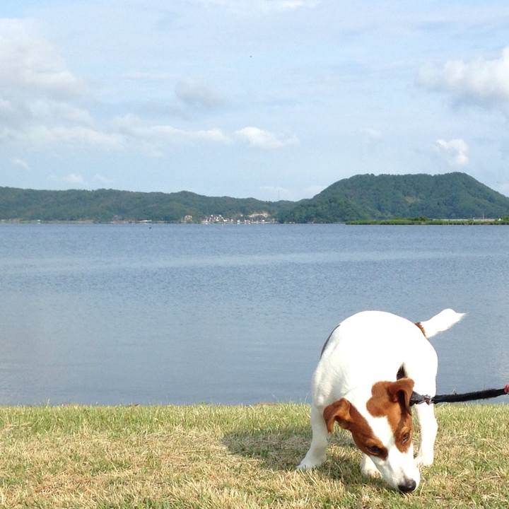 75fb956f a60f 47f1 98d8 f7e36eefa8ec