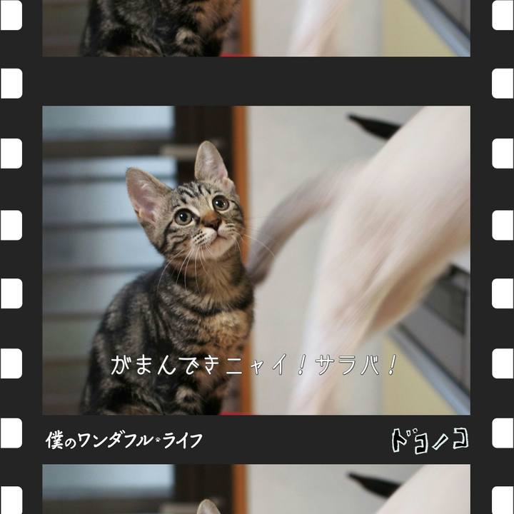 75fbdabe ace8 479c b3e1 d81539acacac