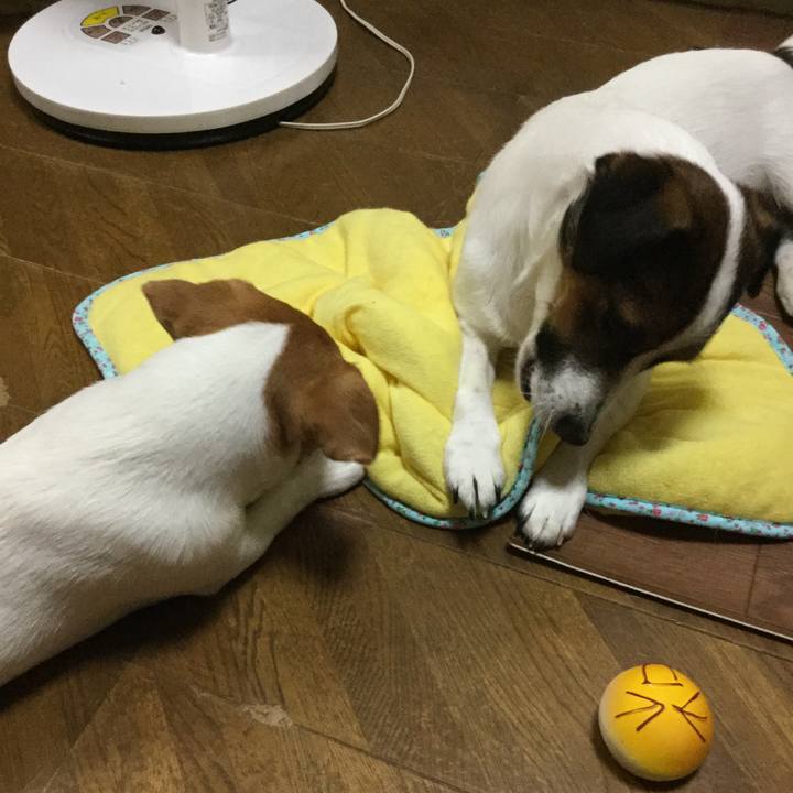 75fc0e27 8e98 4ffd bf5d 5ebeeed83d13