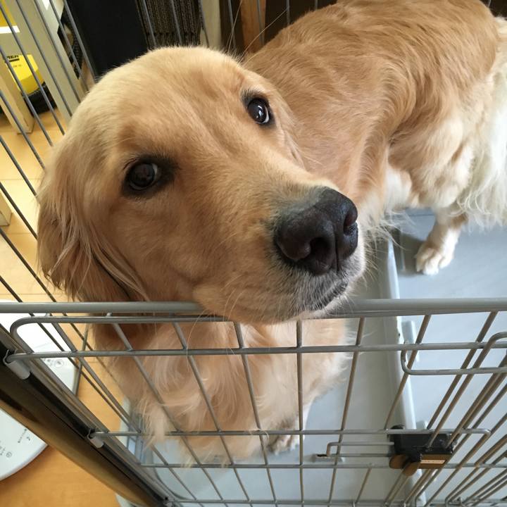 75fc5335 b93d 4053 bf0f cc0020a80d6e