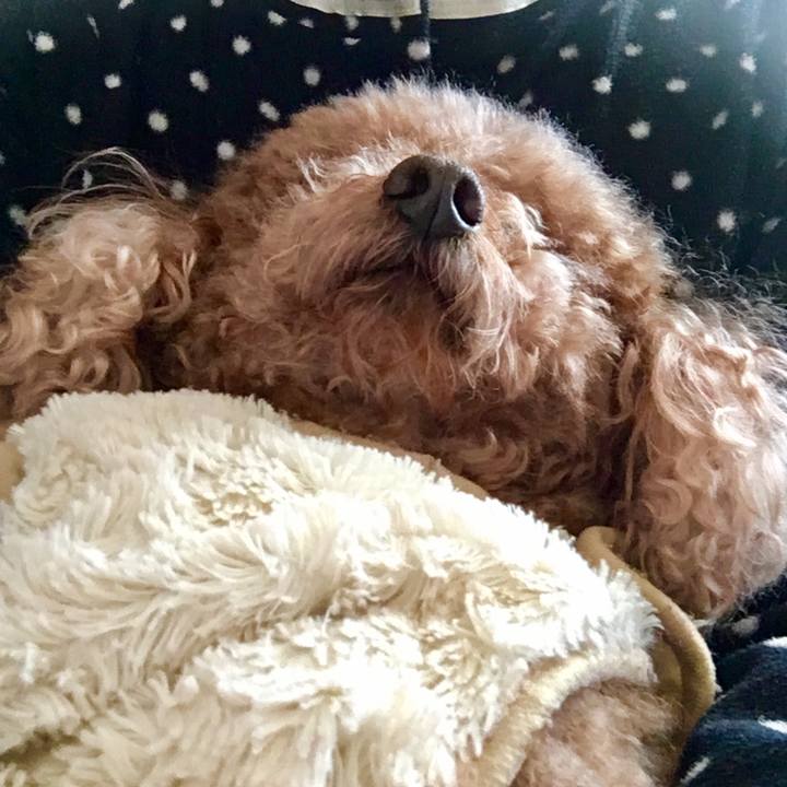 75fc7c52 31a4 4d27 95d7 59cb28be23e1