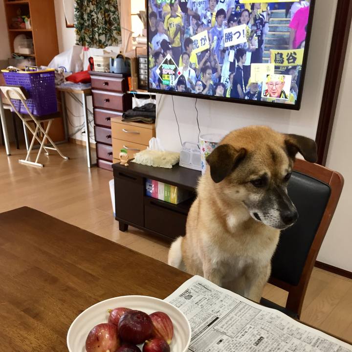 75fd1f81 347b 475c bb86 8c0b3dd8ec5e